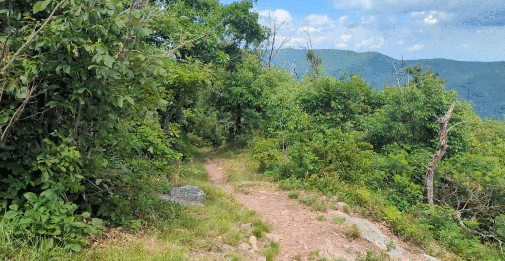 Big Schloss Cliff Edge Adventure