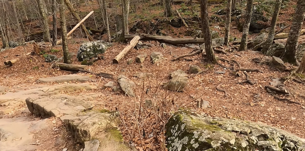 Dark Hollow Falls Trail