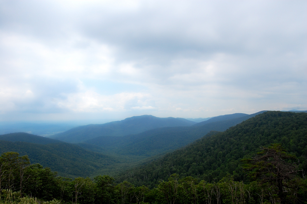 Skyline Drive winding through Shenandoah National Park