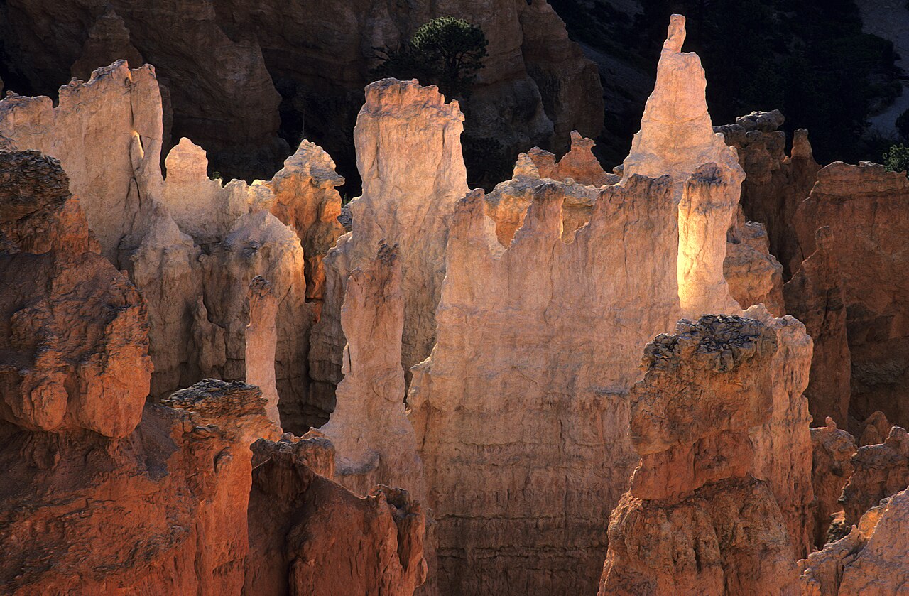 Orange and white hoodoos in Bryce Canyon National Park, Utah