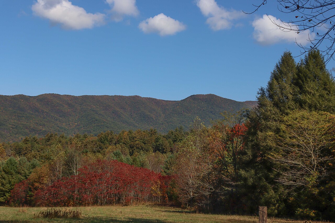 Cades Cove meadow in Great Smoky Mountains National Park