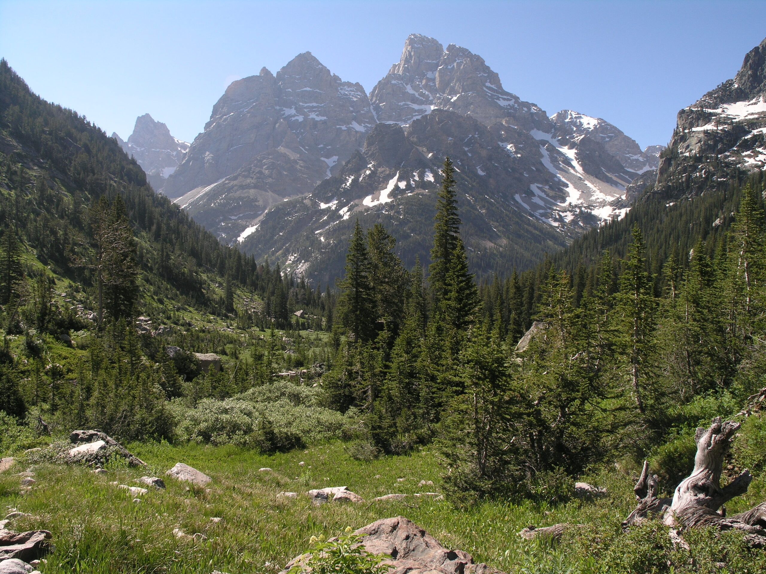 Meadows in the North Fork of Cascade Canyon on the trail from the Forks to Lake Solitude