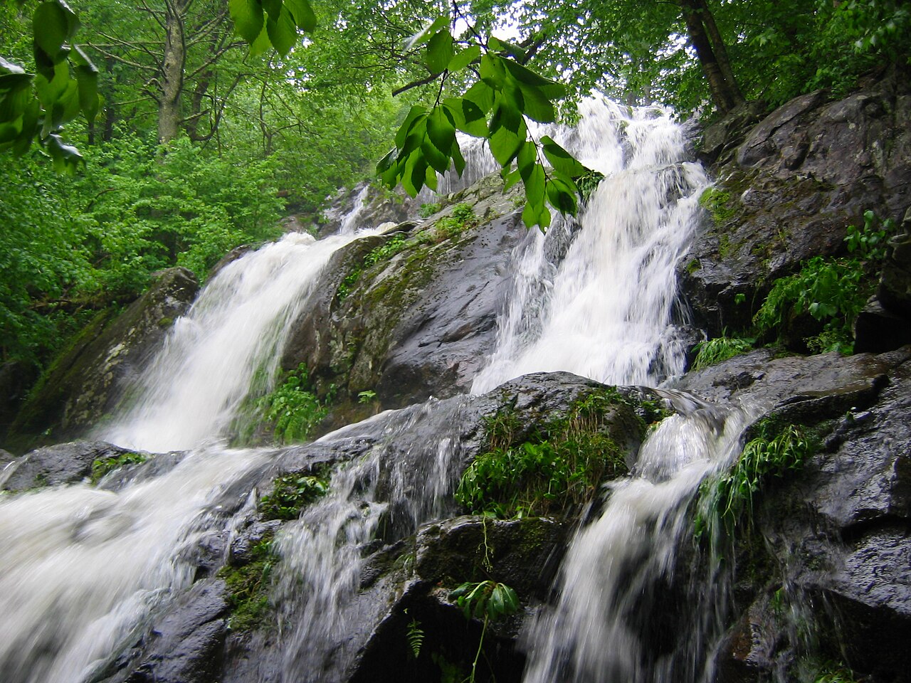 Dark Hollow Falls cascading over rock ledges in Shenandoah National Park