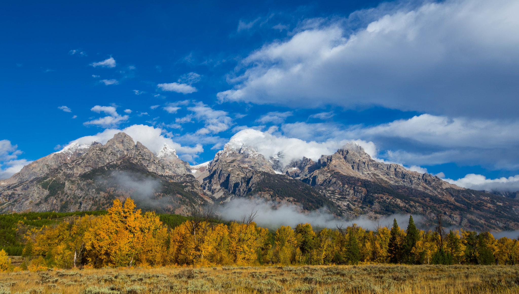 Golden fall colors below the snow-dusted Teton Range, Grand Teton National Park in September