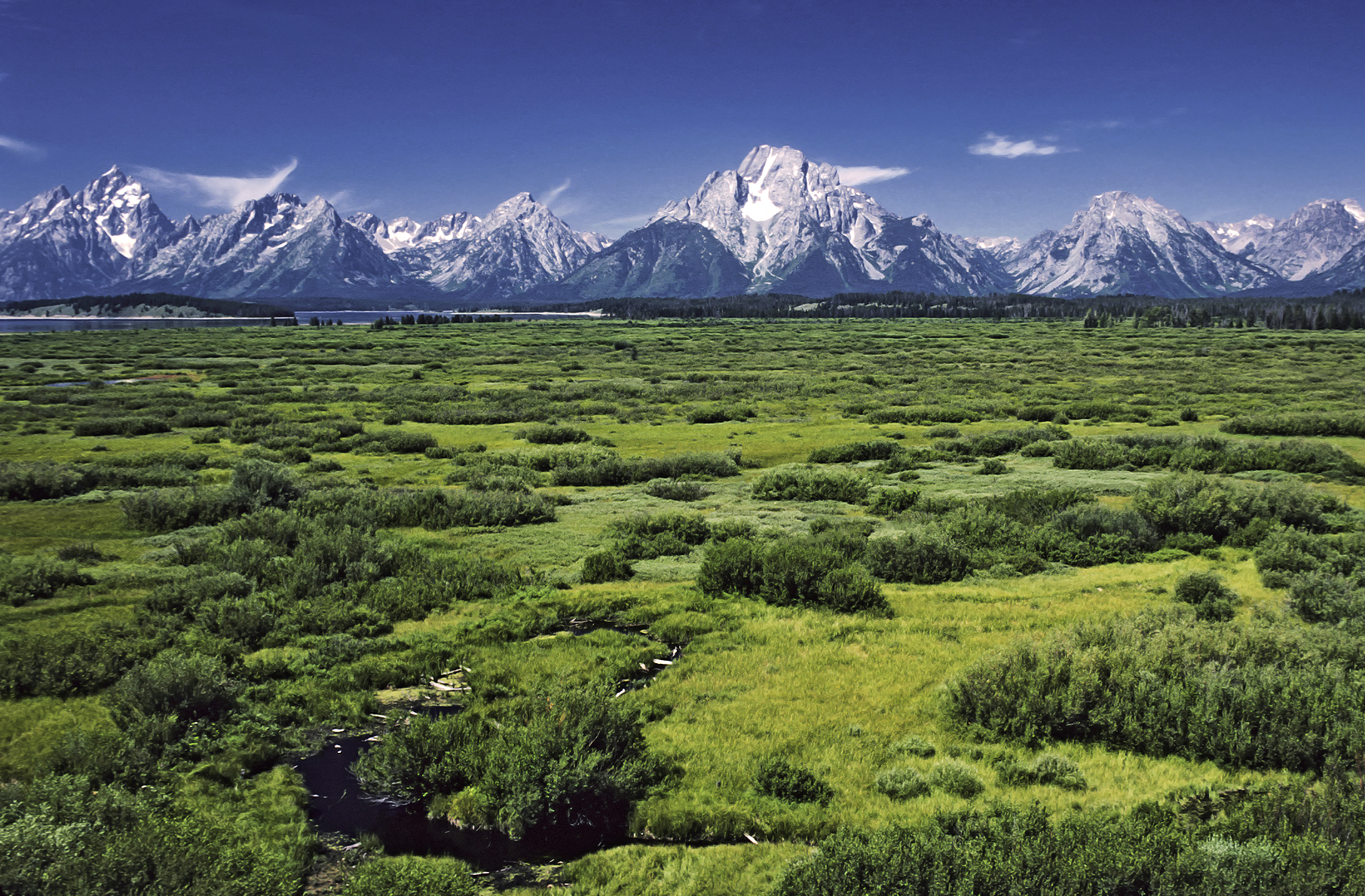 View from Jackson Lake Lodge over Willow Flats to Mount Moran and the Teton Range, a highlight of a Grand Teton National Park itinerary