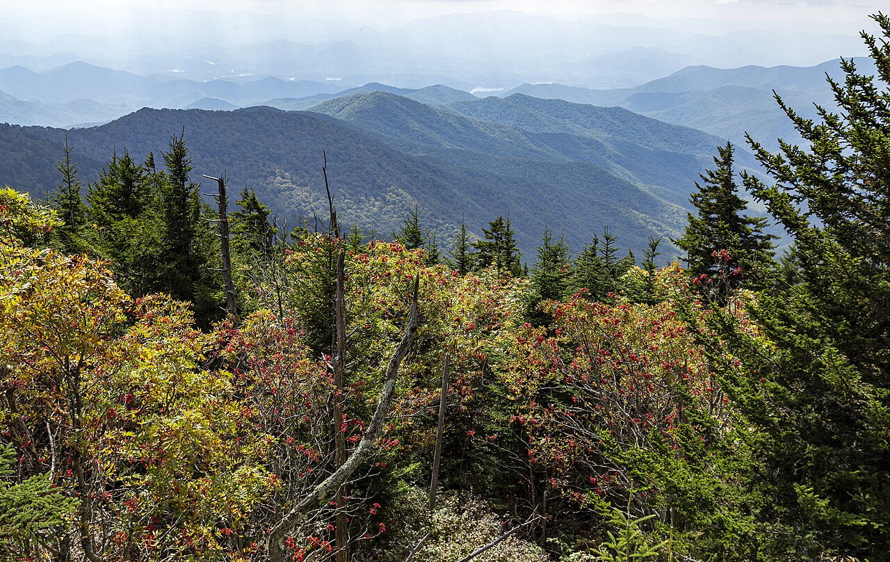 View from Kuwohi in Great Smoky Mountains National Park