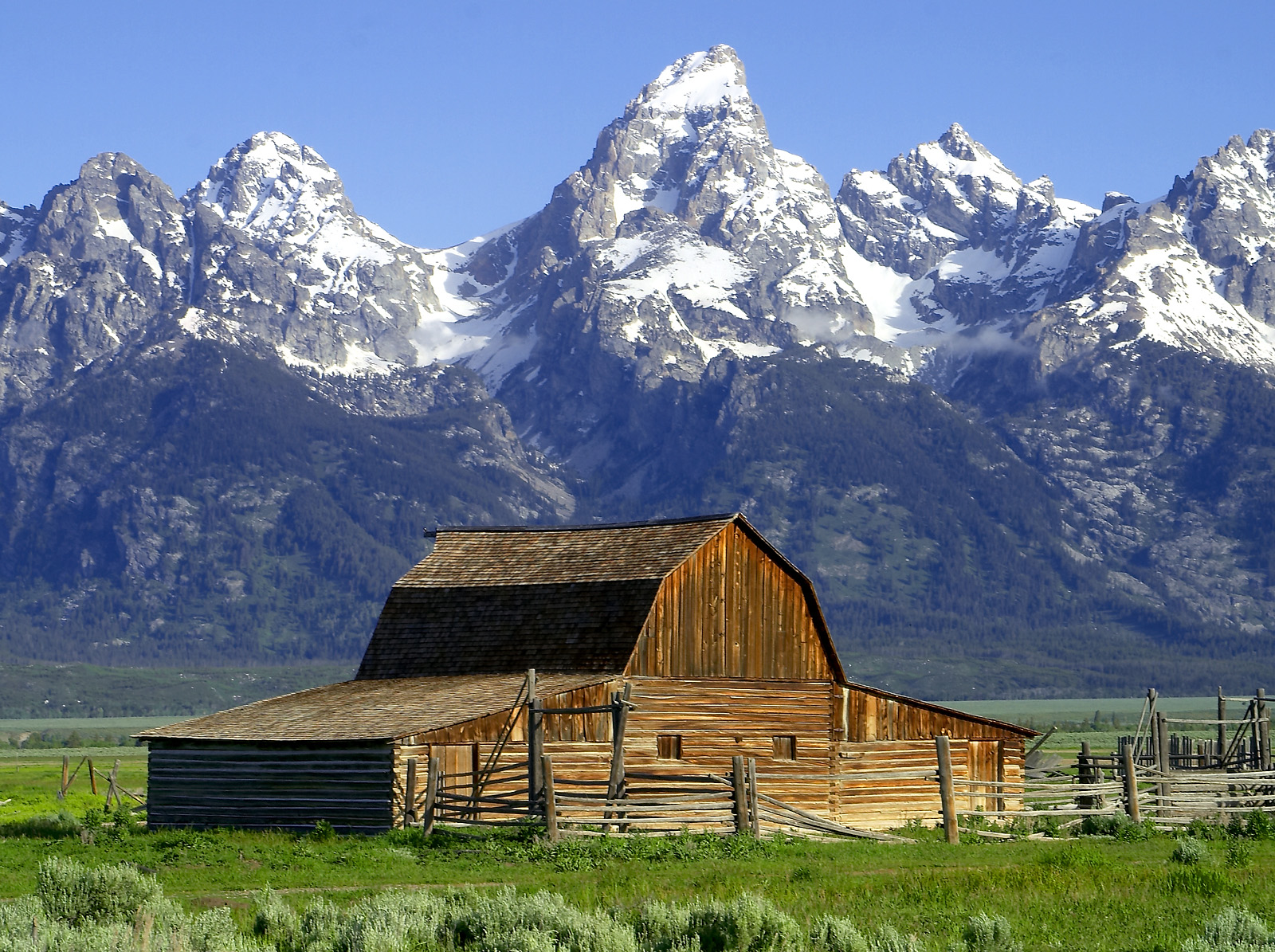Mormon Row barn with the Teton Range behind in Grand Teton National Park