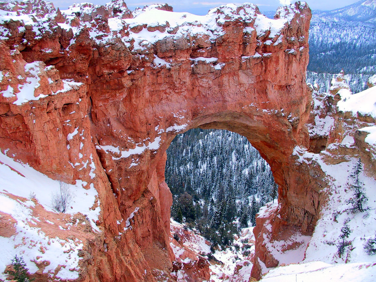 Natural Bridge arch along the Southern Scenic Drive in Bryce Canyon National Park