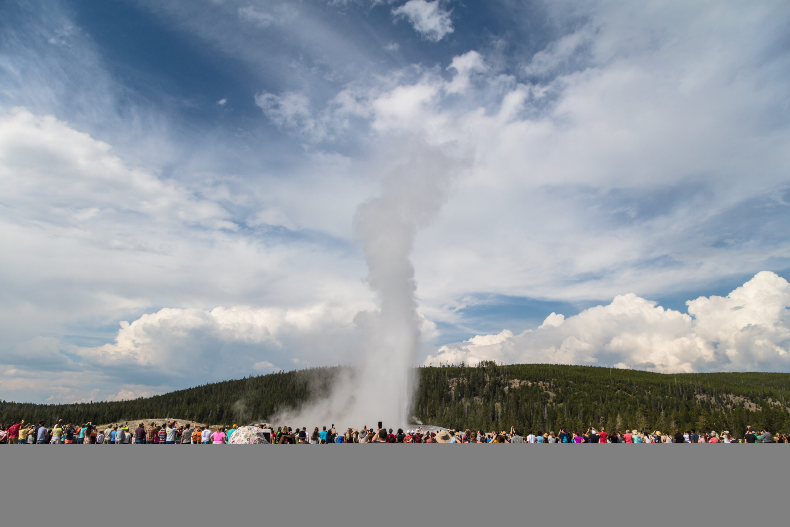 Old Faithful erupting in Yellowstone's Upper Geyser Basin on a Yellowstone and Grand Teton road trip