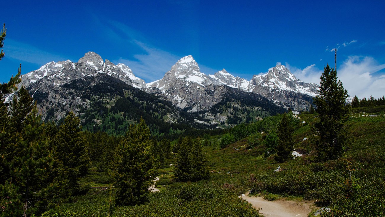 Taggart Lake with the Teton Range behind
