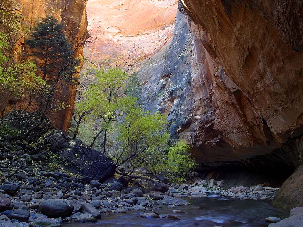 Hikers in The Narrows, Zion National Park