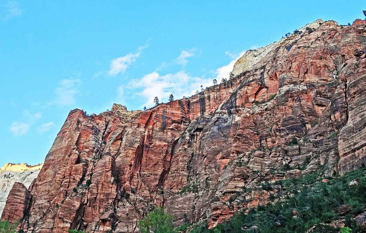 Red cliffs and the Virgin River in Zion National Park