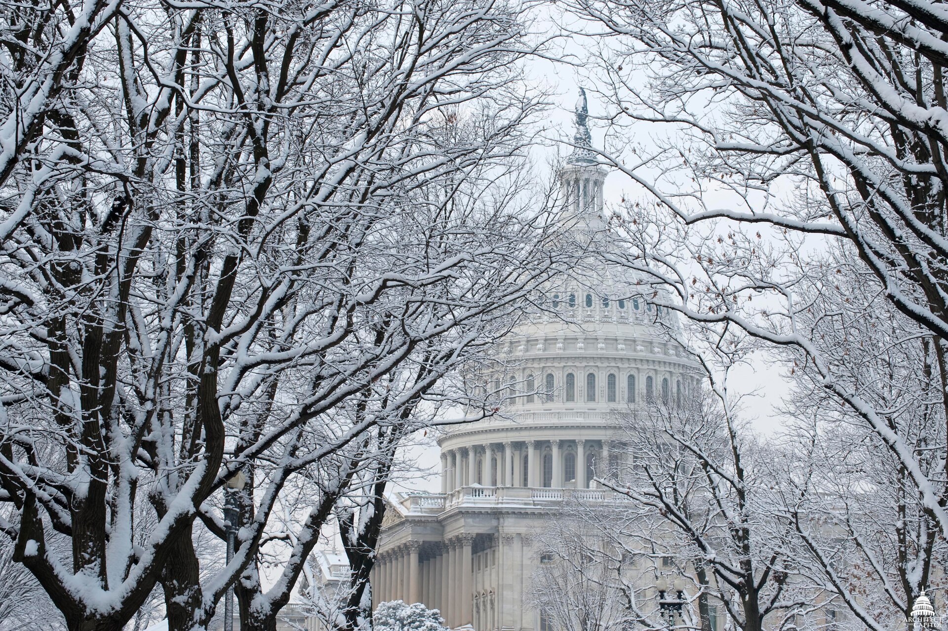 The U.S. Capitol dome covered in snow during a winter storm in Washington DC