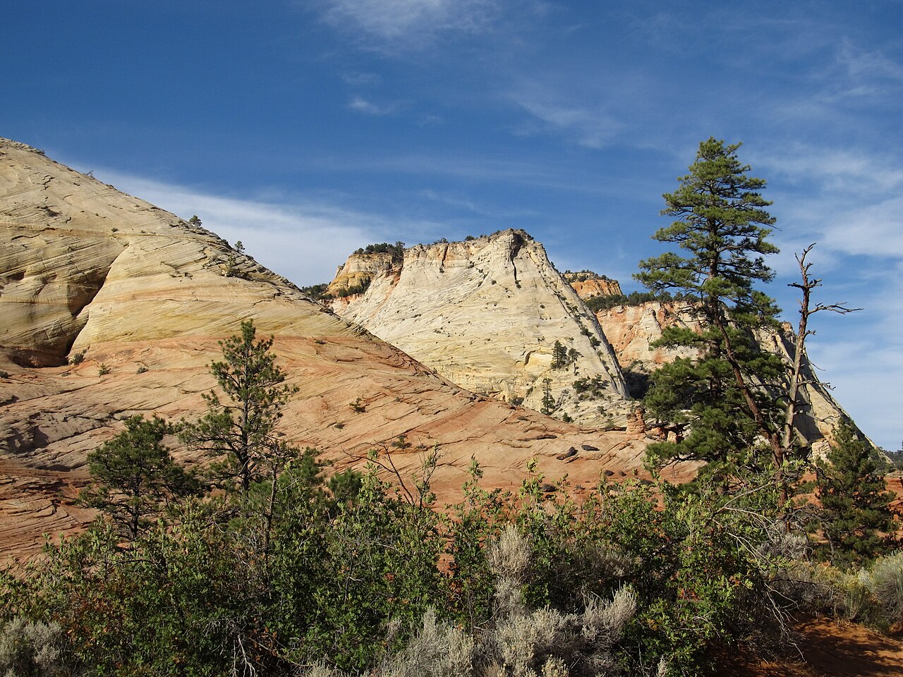 The Zion-Mount Carmel Highway winding through sandstone in Zion National Park