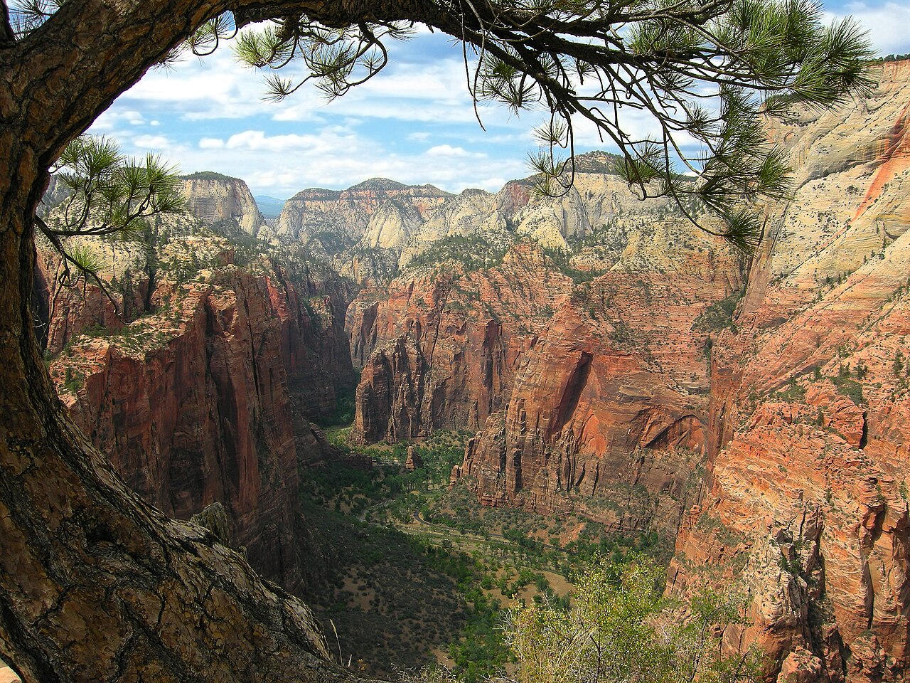 View north over Zion Canyon and the Virgin River from the Angels Landing trail