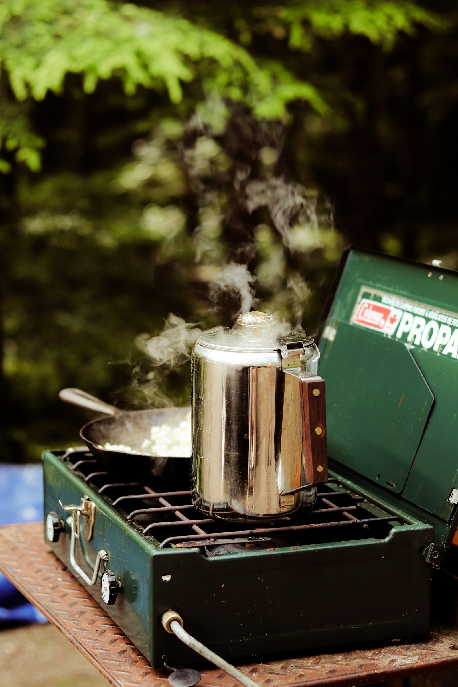 Small backpacking stove heating a pot for breakfast at a campsite in British Columbia