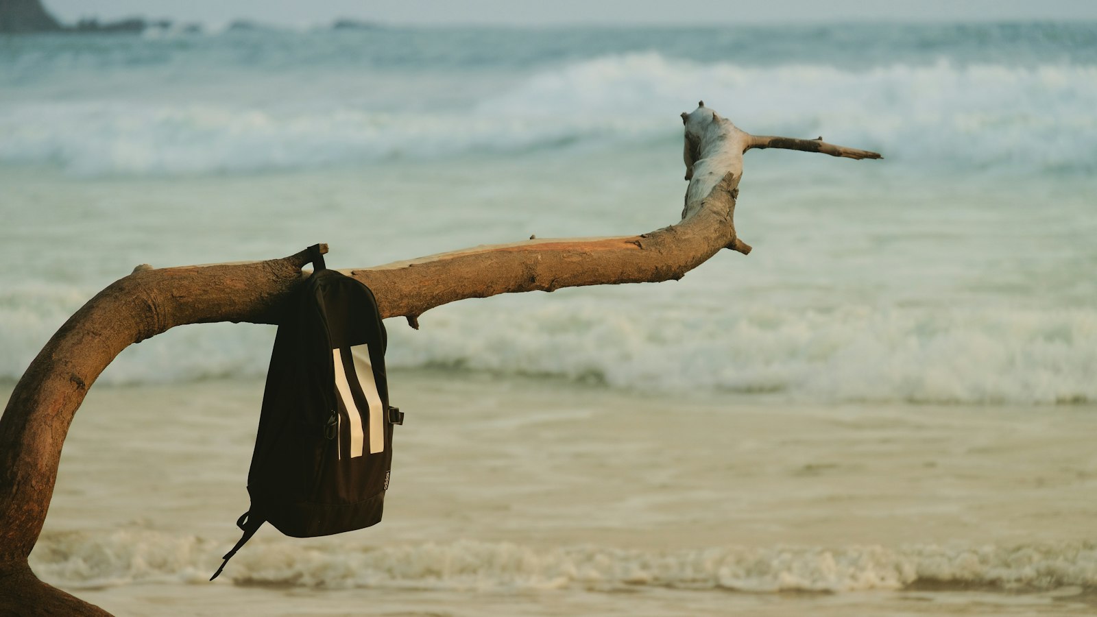 Bag hanging from driftwood on a beach shoreline