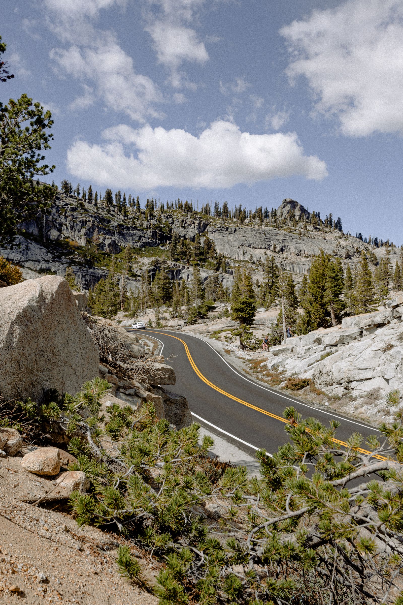 Winding road through pine forest toward a tunnel in Yosemite National Park
