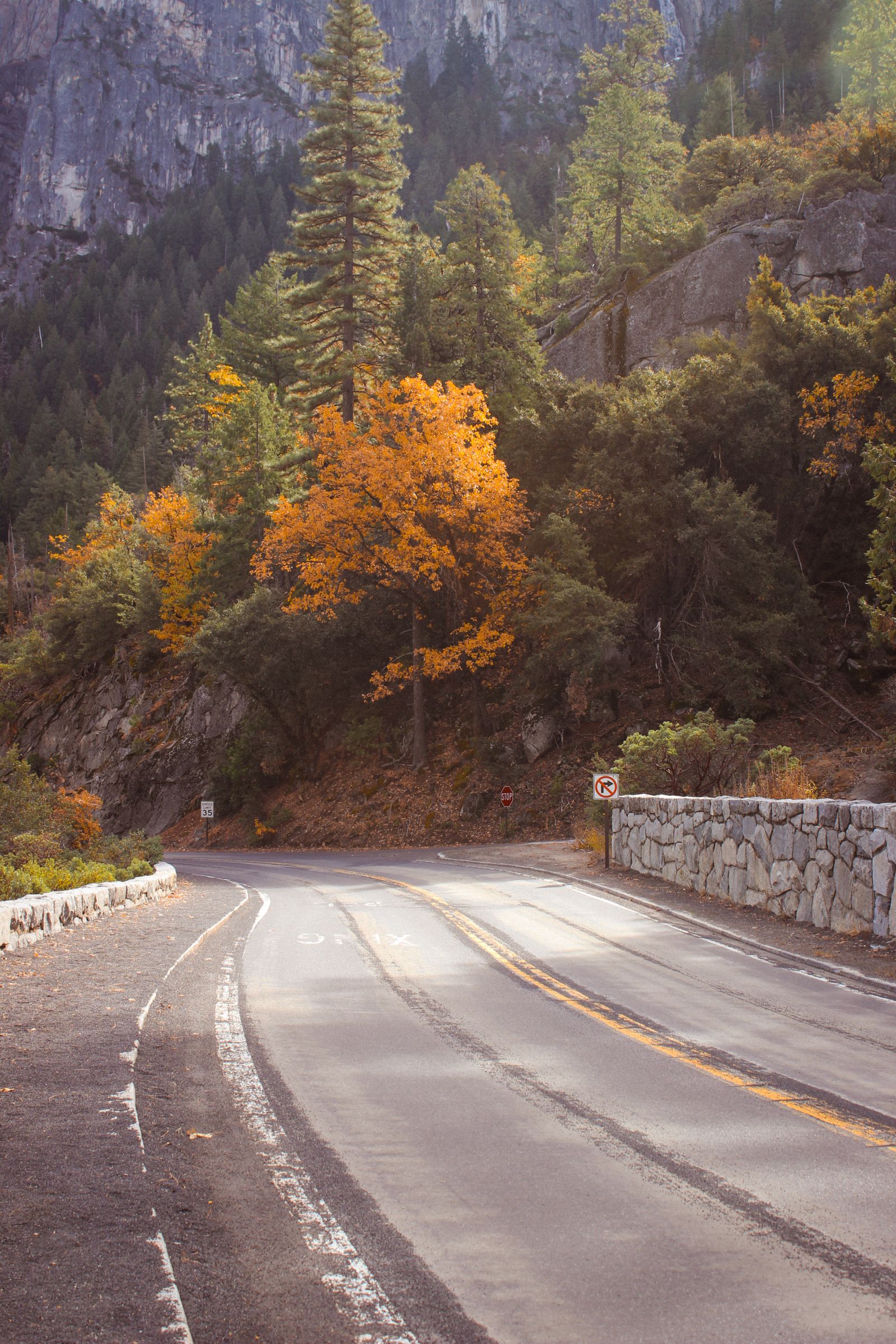 Winding scenic road through mountains with autumn colors