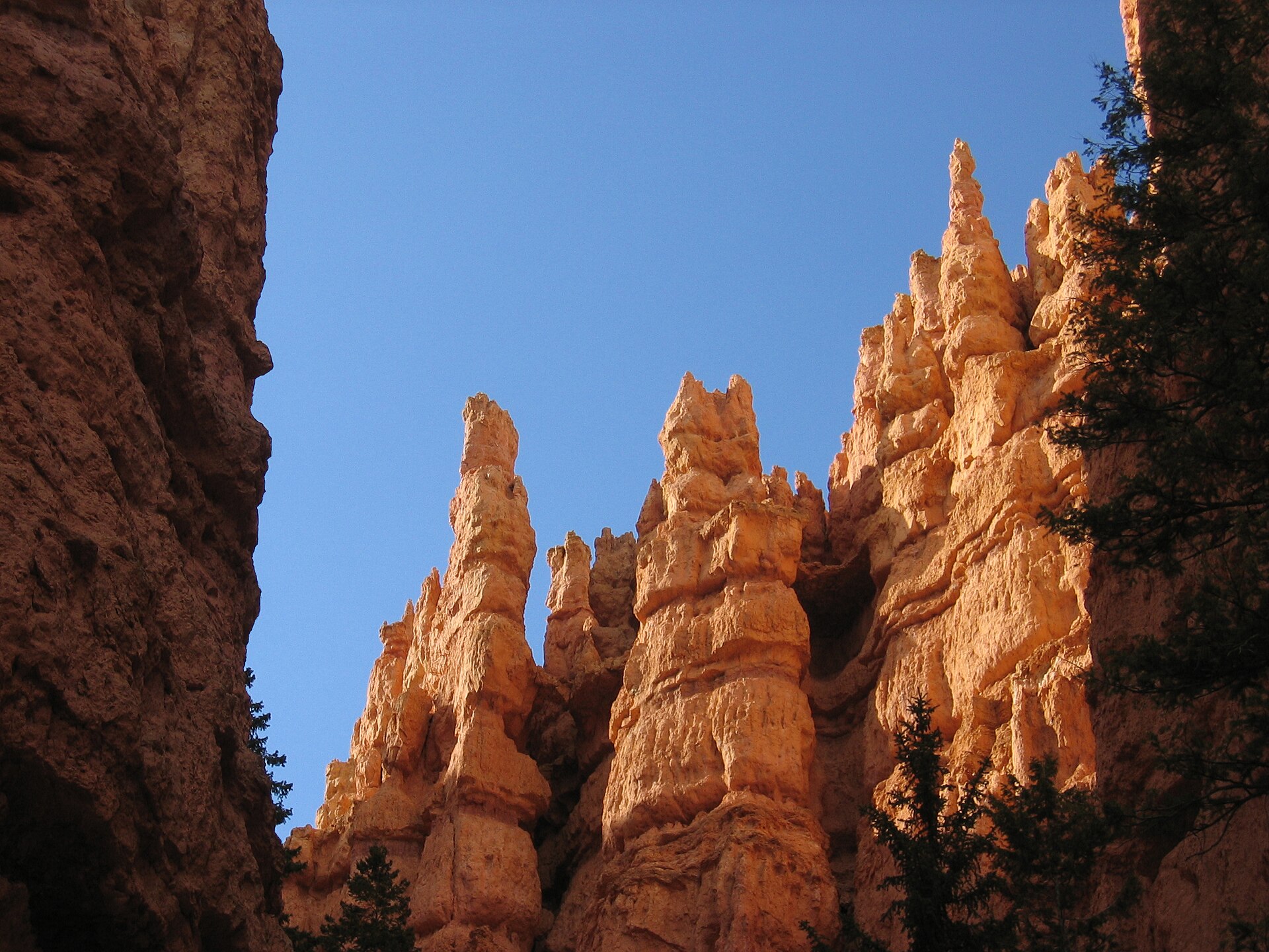 Bryce Canyon weather by month: evening light on the hoodoos under a clear sky