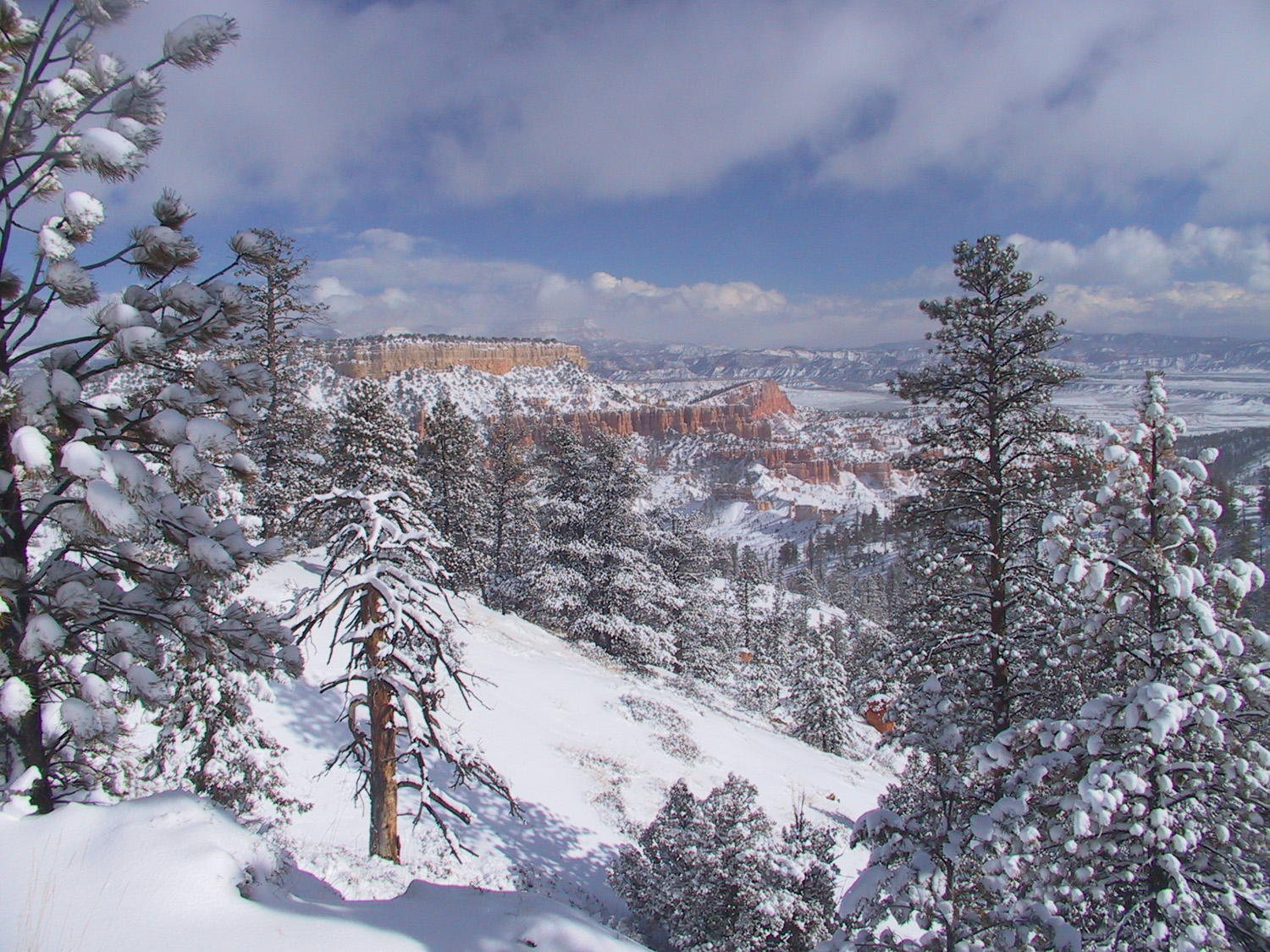 Snow on the hoodoos near the Queen's Garden Trail in winter
