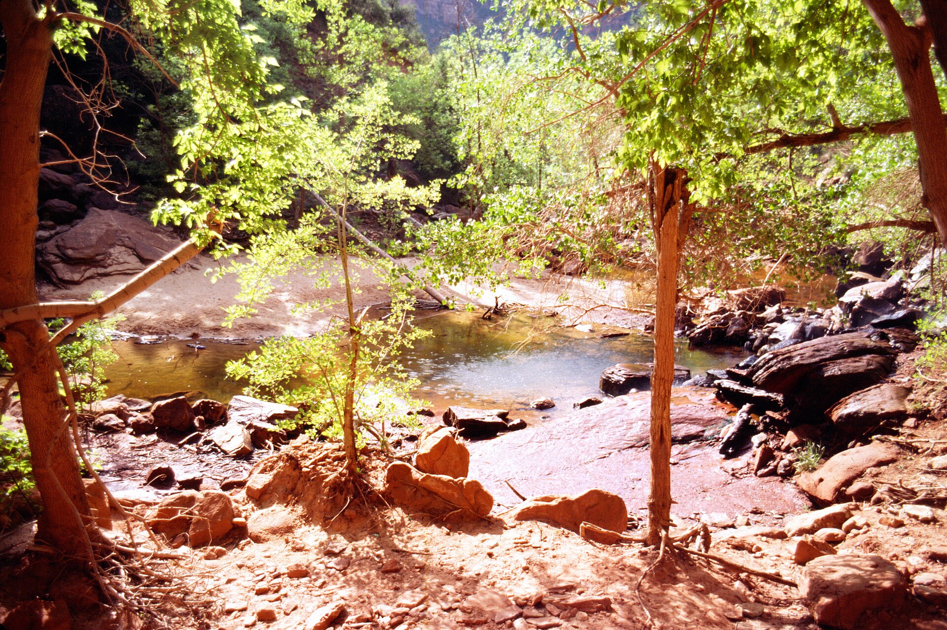 Emerald Pools in Zion National Park