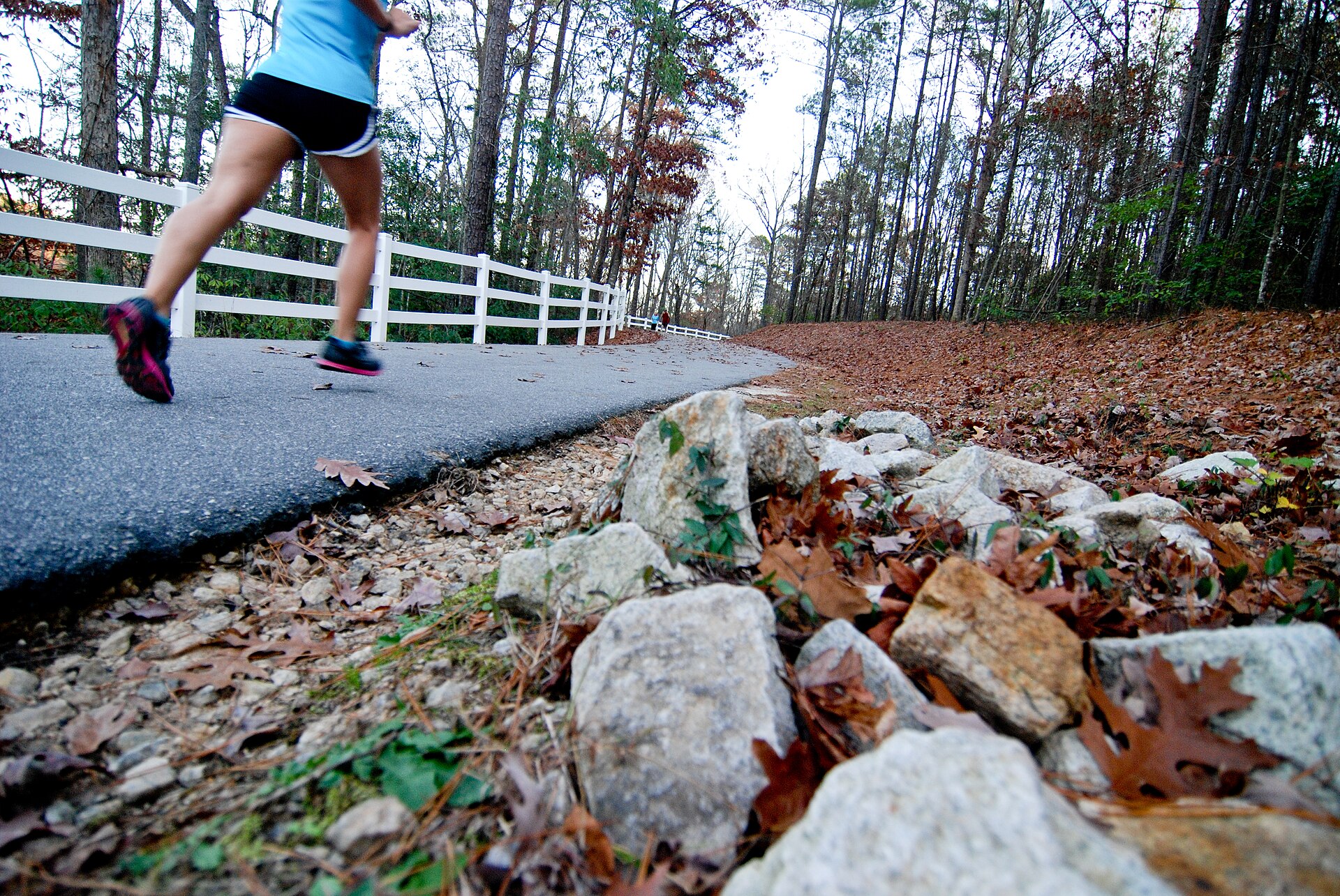Paved Cape Fear River Trail through the woods in Fayetteville NC, best walked in spring or fall