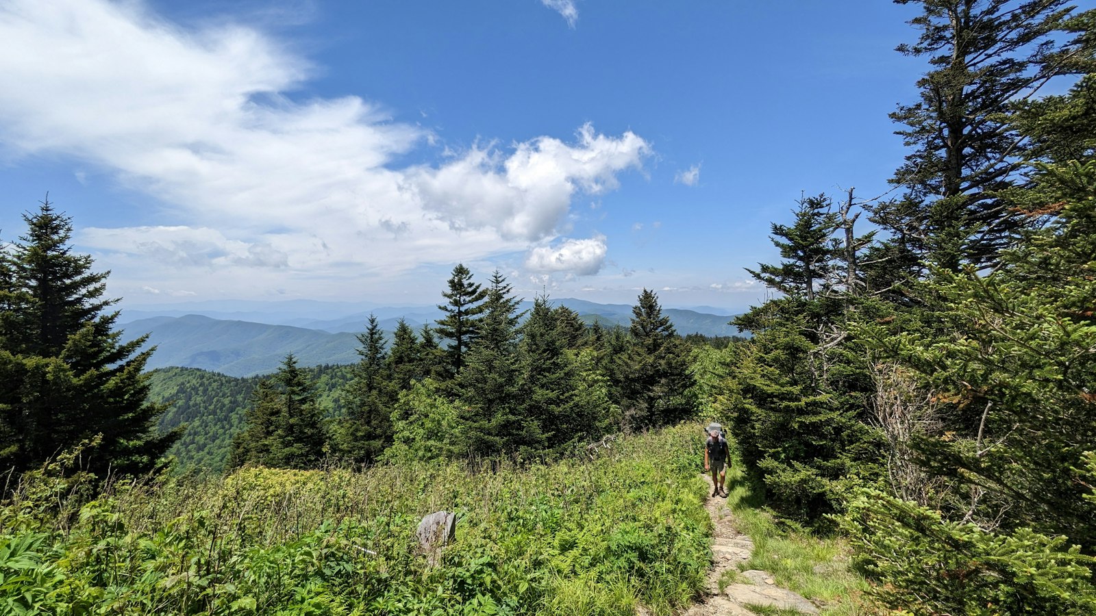 Hiker with a backpack walking up a mountain trail in the Smoky Mountains