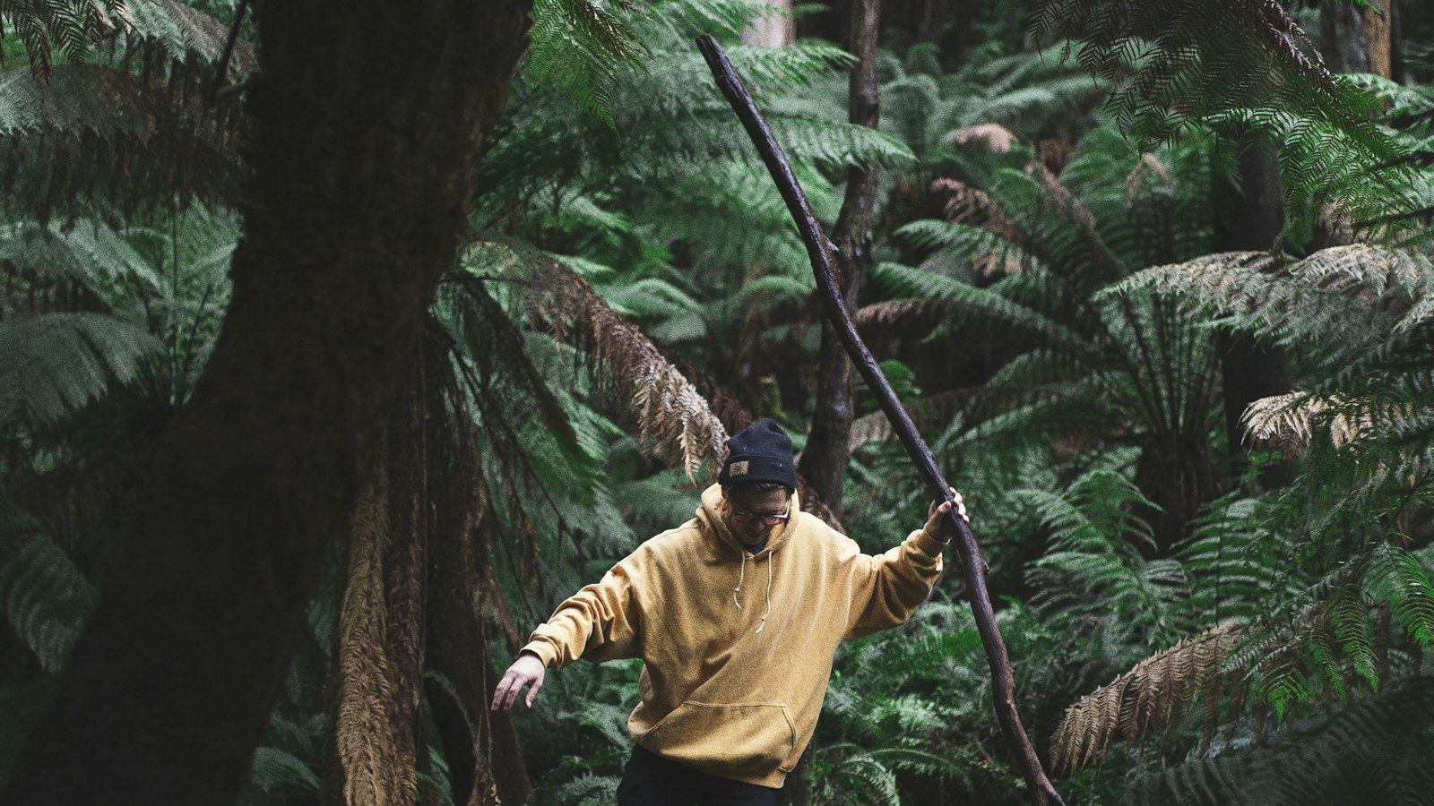 Hiker crossing a shallow river in a lush forest