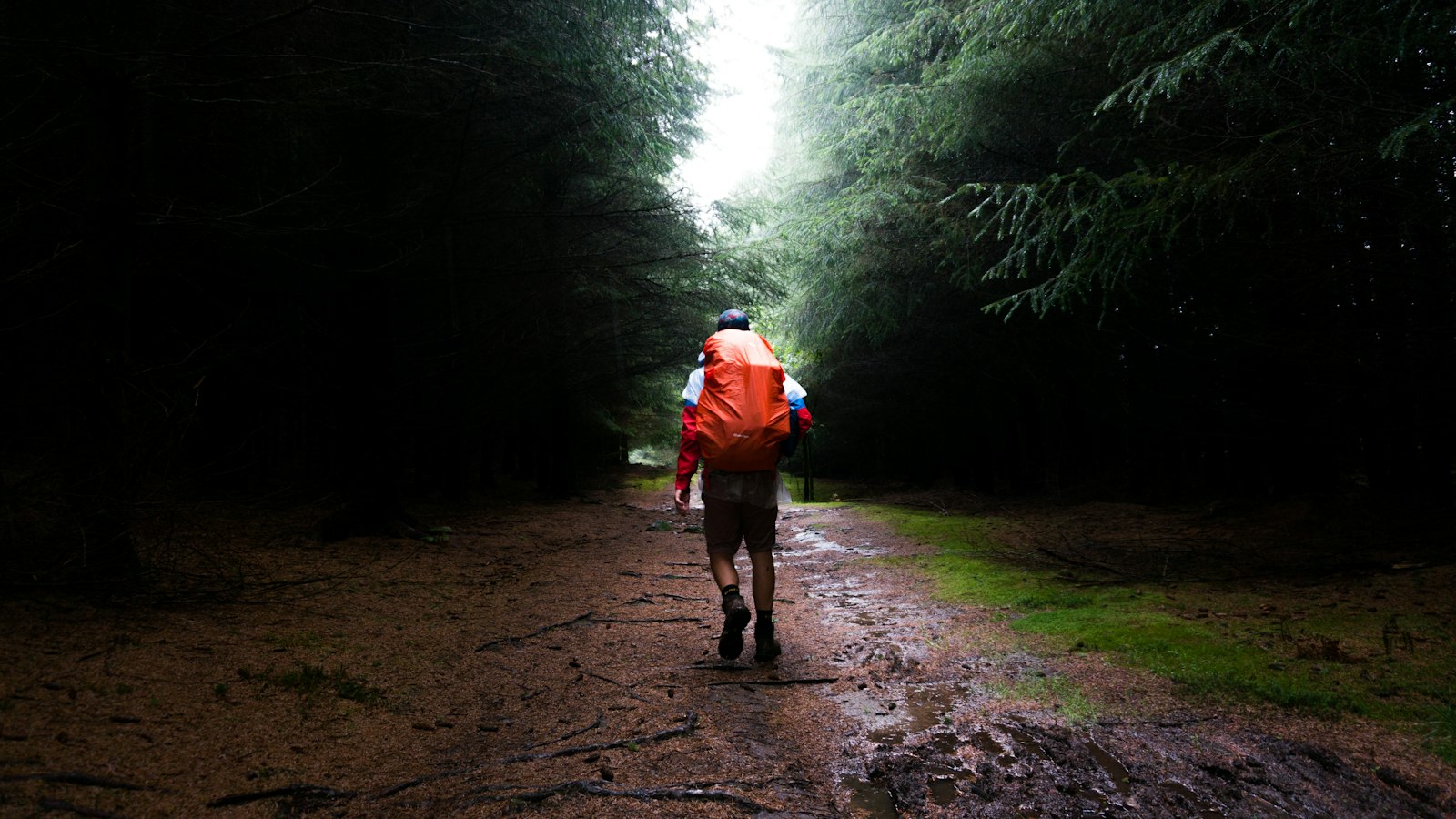Hiker with a red backpack walking through a wet forest