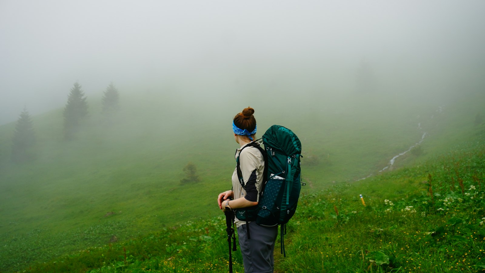 Hiker with a backpack and trekking poles walking in foggy green mountains