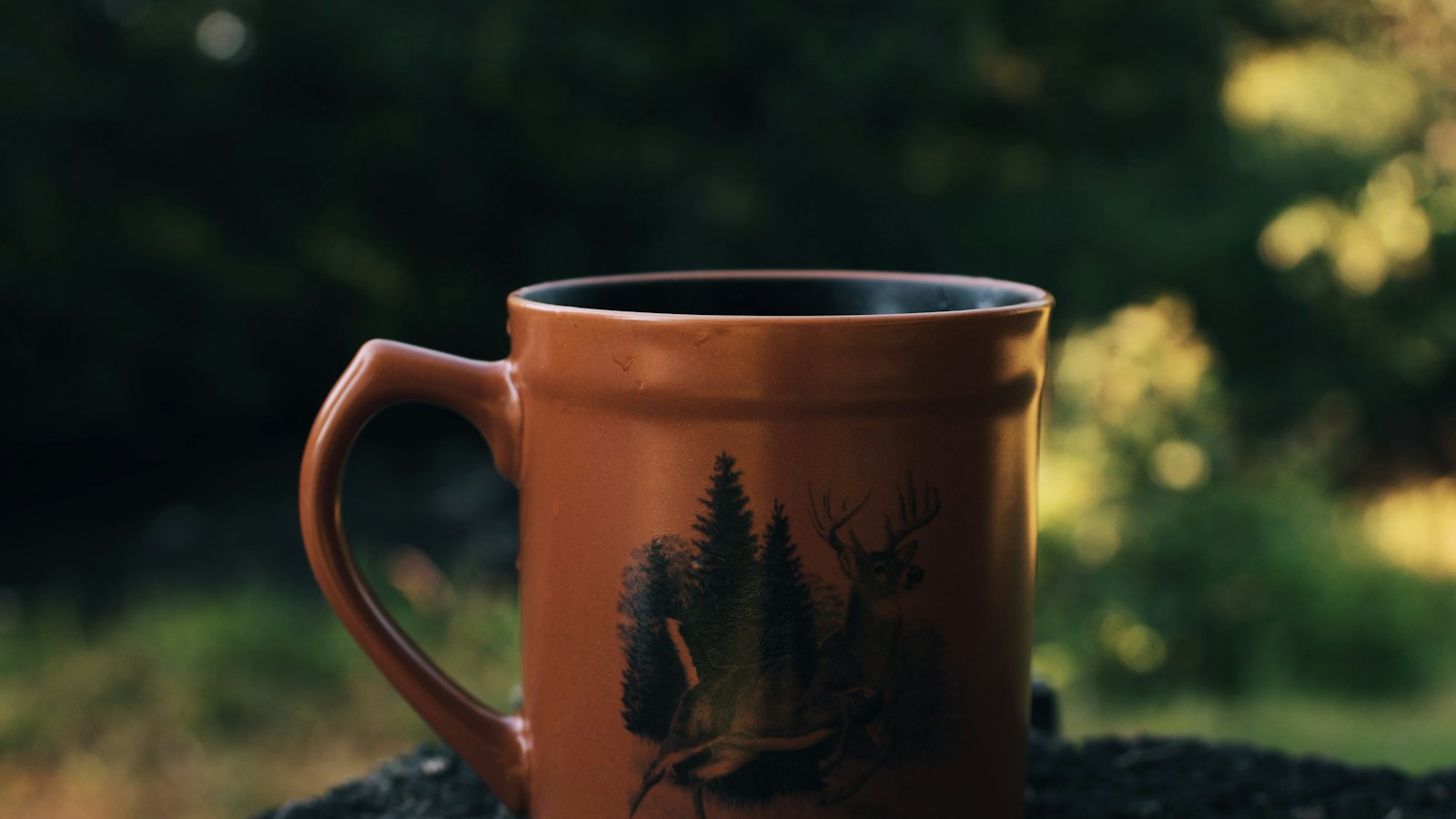 Camping mug of morning coffee sitting on a tree stump at a wilderness campsite