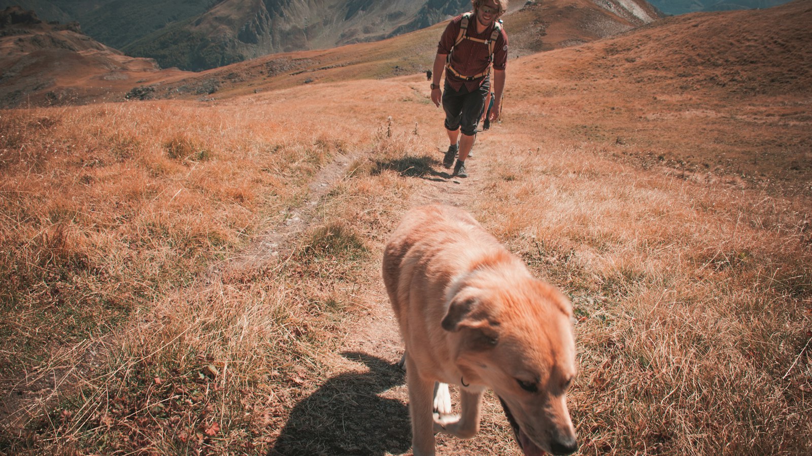 Man hiking with his dog on a mountain trail
