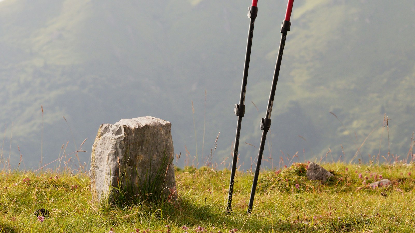 Pair of hiking poles standing in the grass