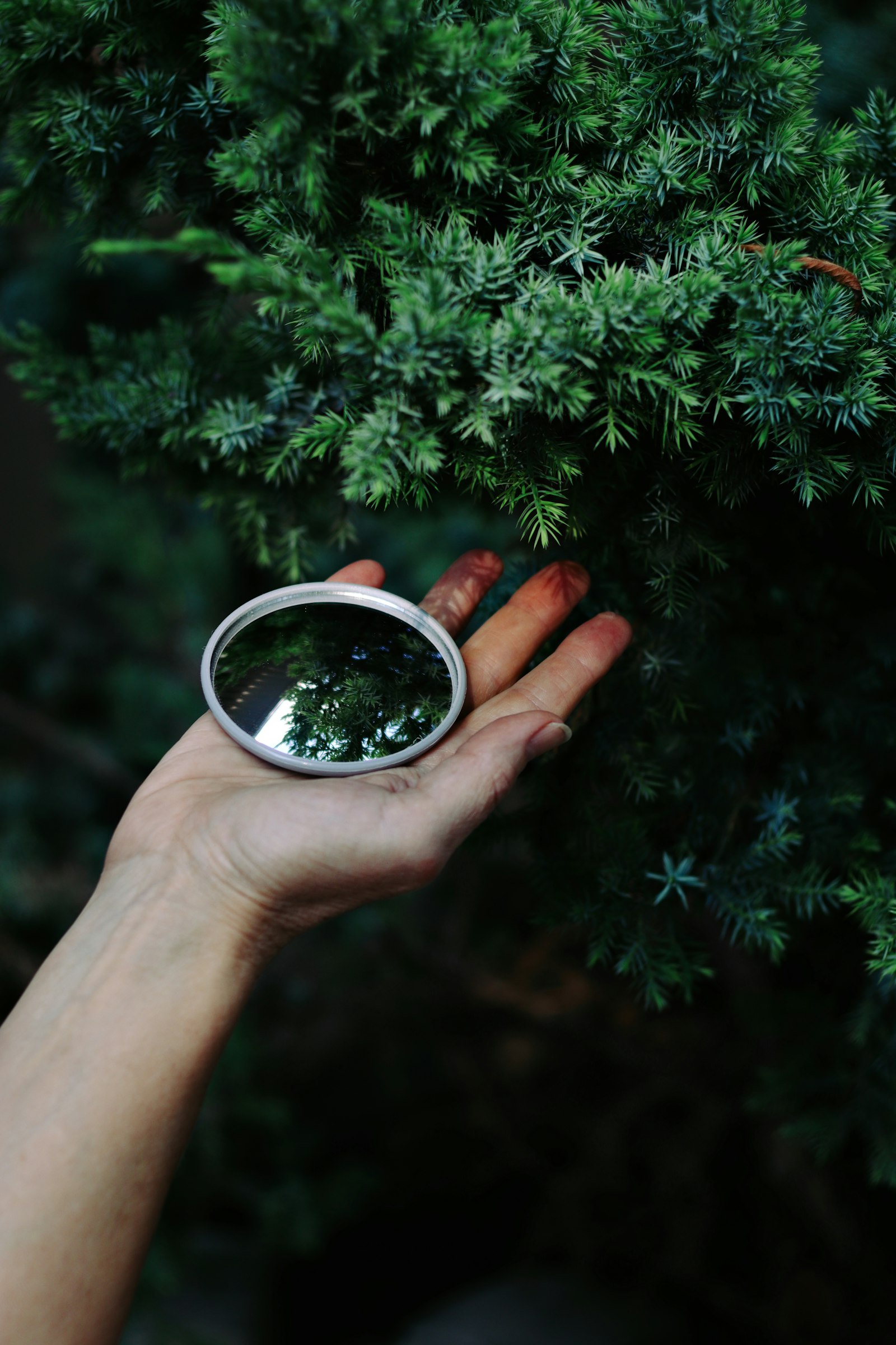 Hand holding a small lightweight mirror reflecting green forest trees