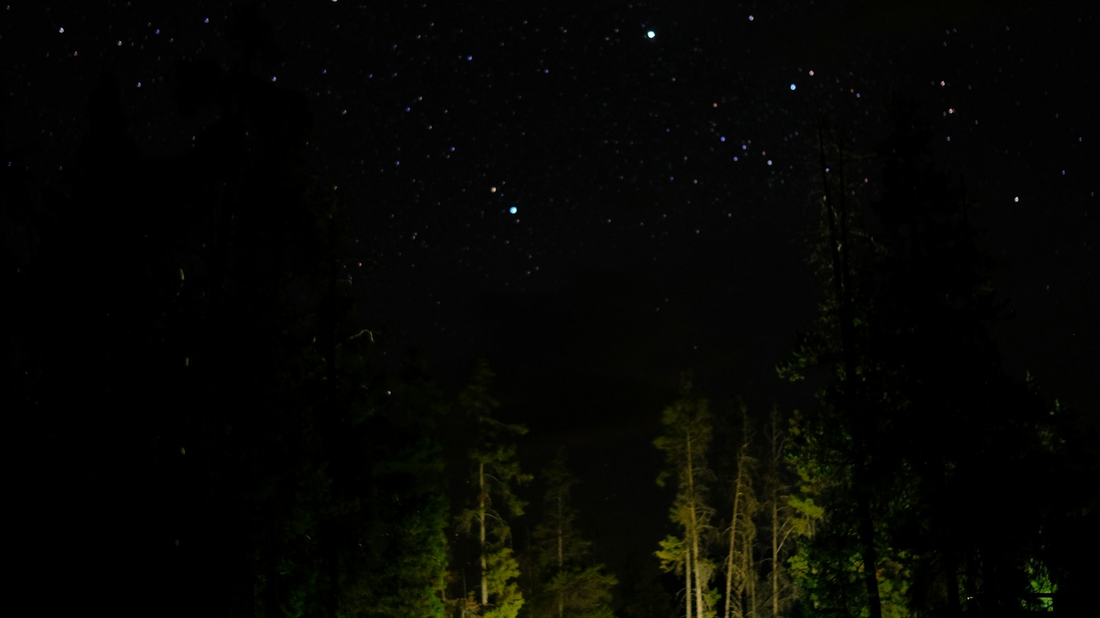 Tent glowing with light at night in the woods