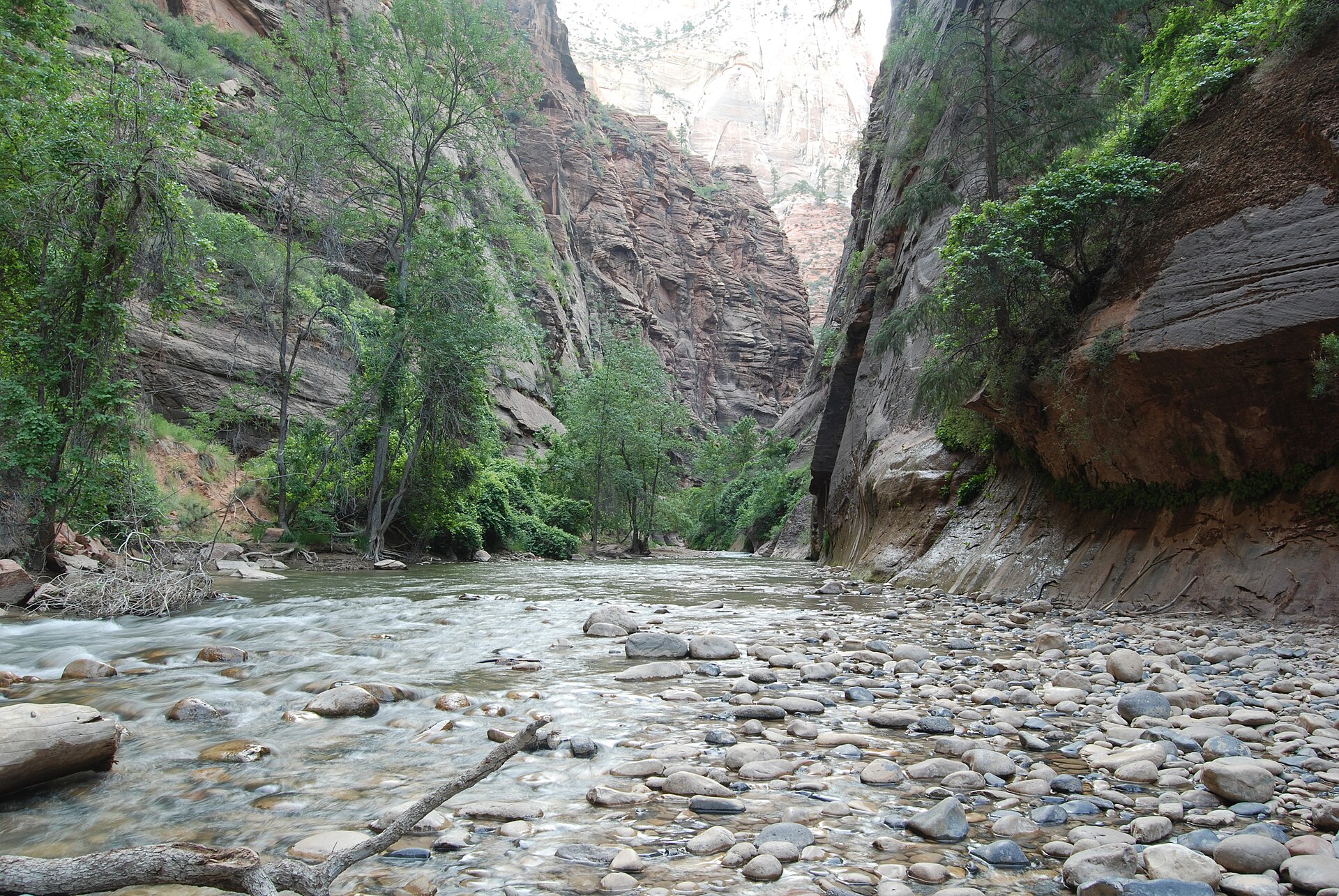 Virgin River in The Narrows, Zion
