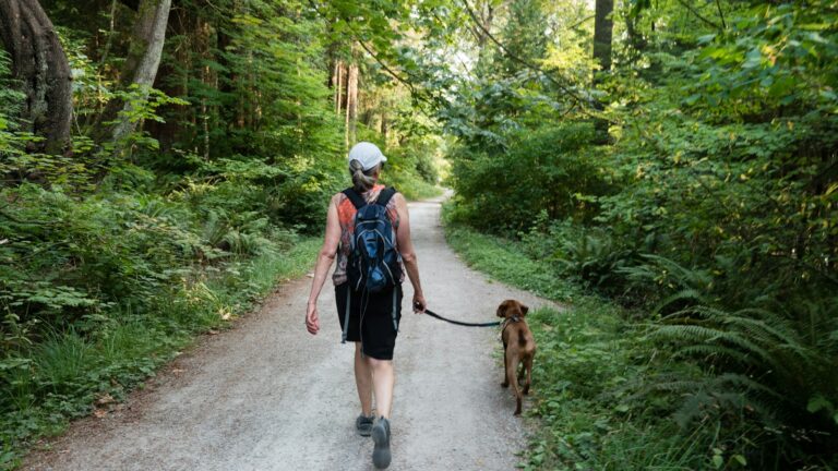 Two people walking a brown dog on a paved road on a sunny day