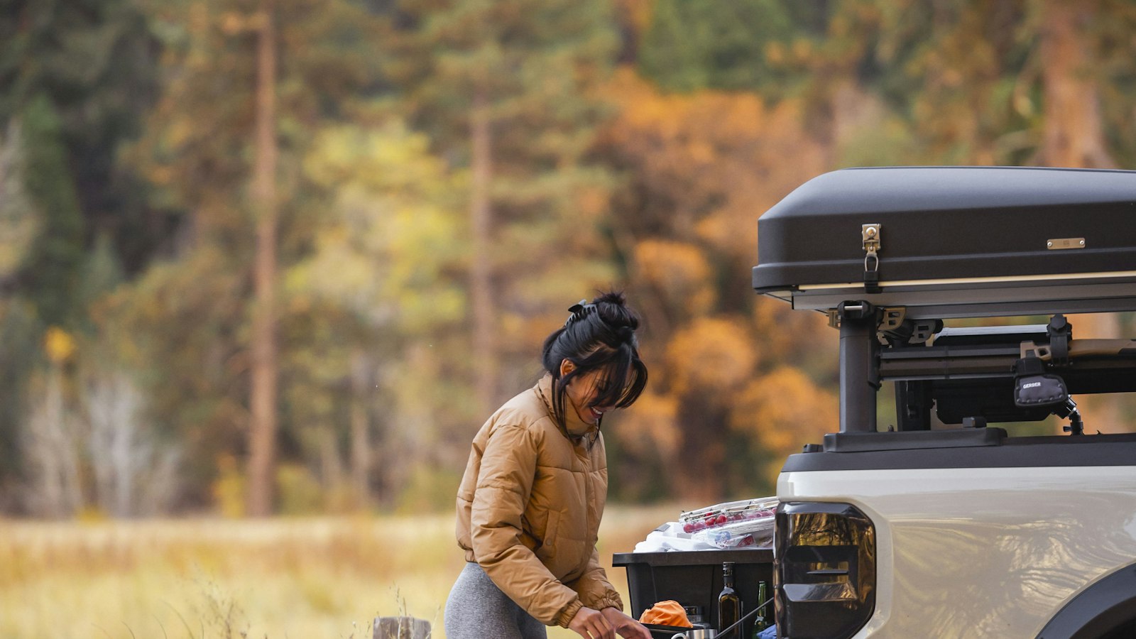 Woman cooking outdoors next to a camper van