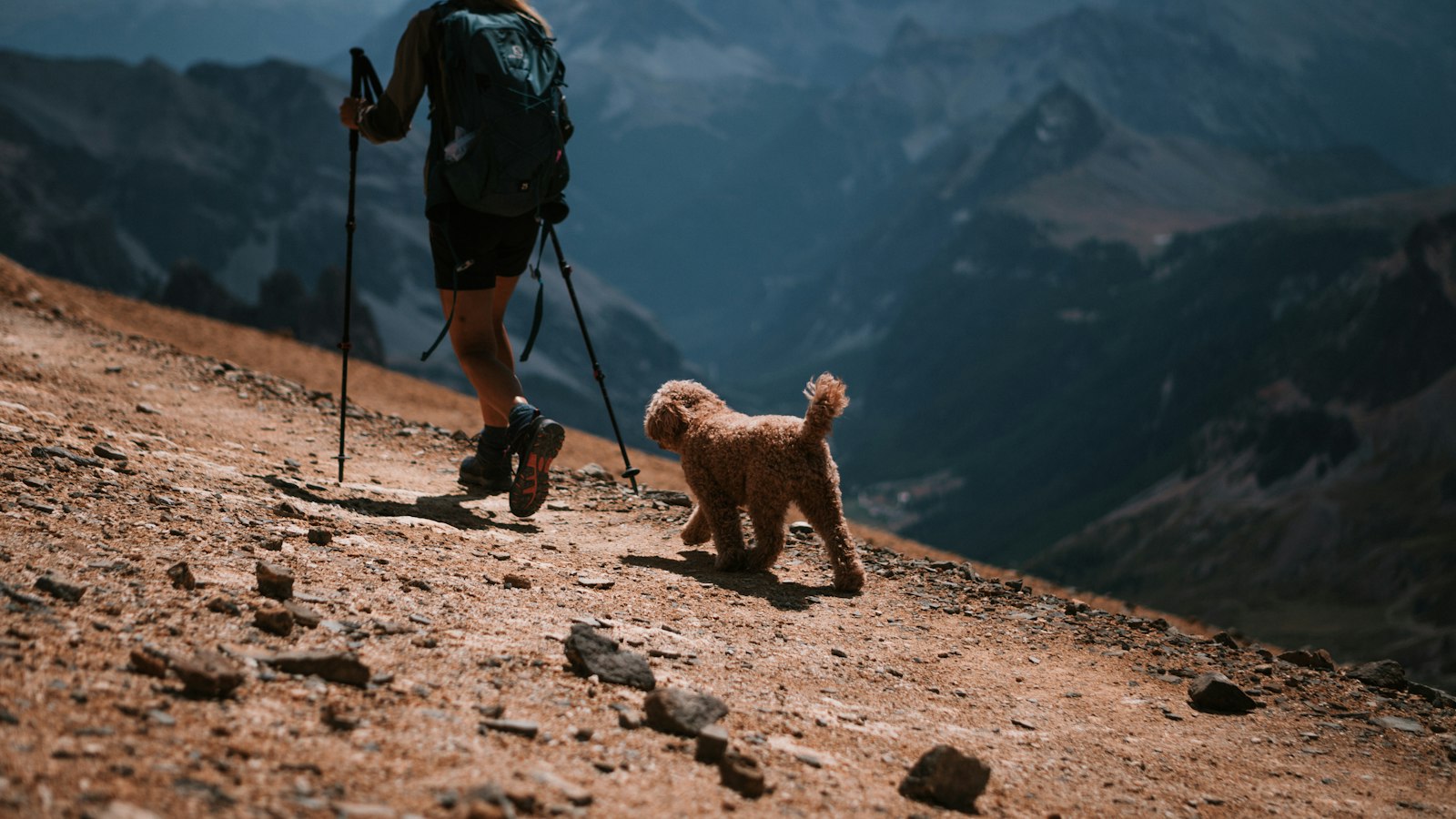 Woman hiking with trekking poles on a mountain trail
