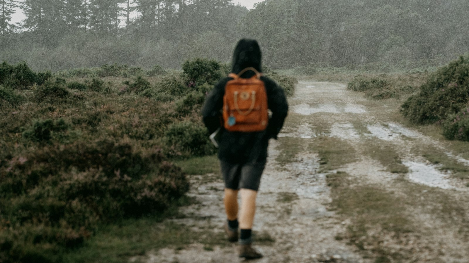 Woman in a rain jacket standing on a green hillside